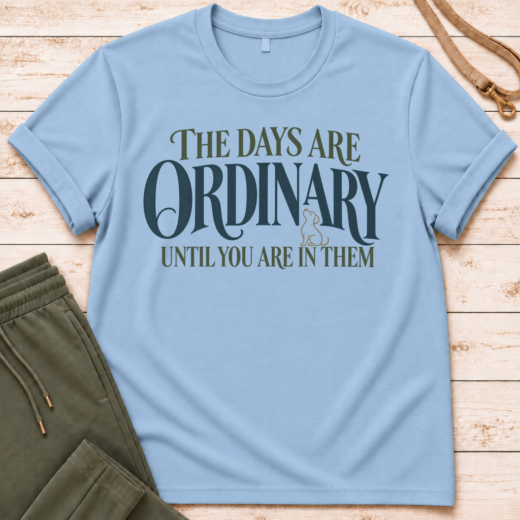 Ordinary Days T-Shirt