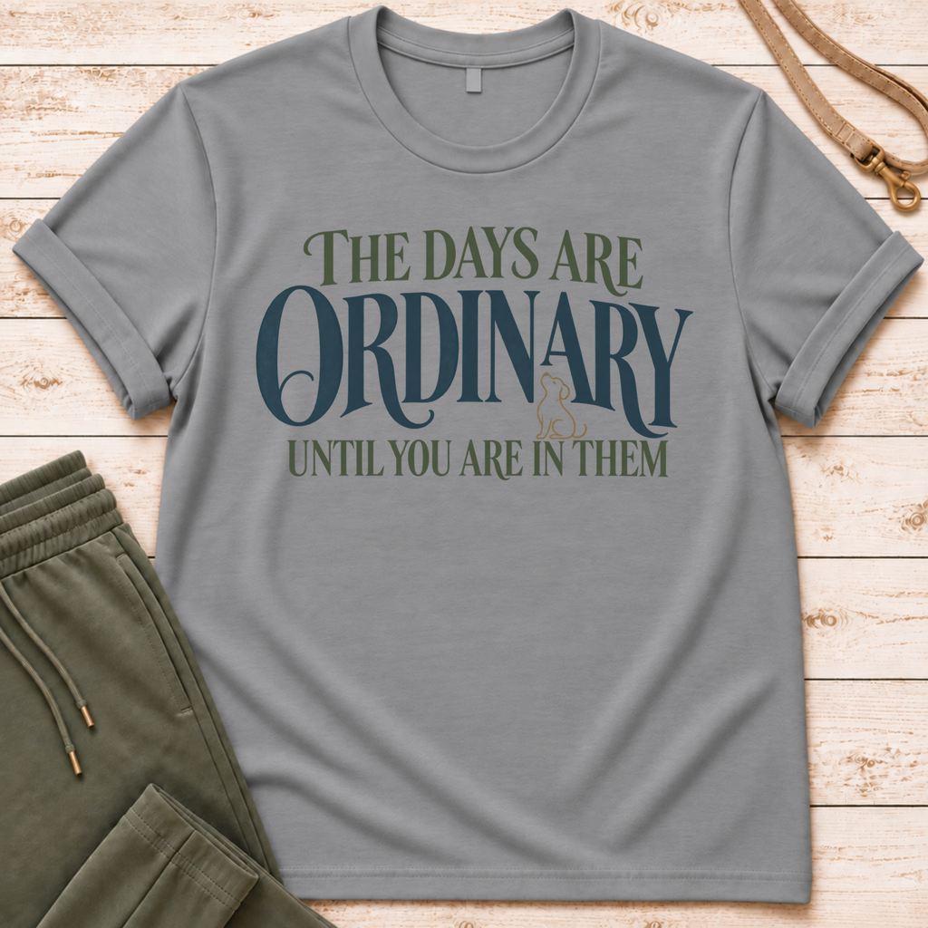Ordinary Days T-Shirt